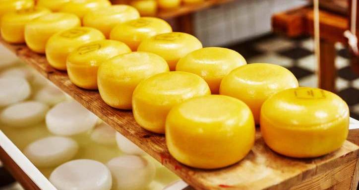 За 9 месяцев этого года производство сыров в России выросло на 3,1%, Росстат