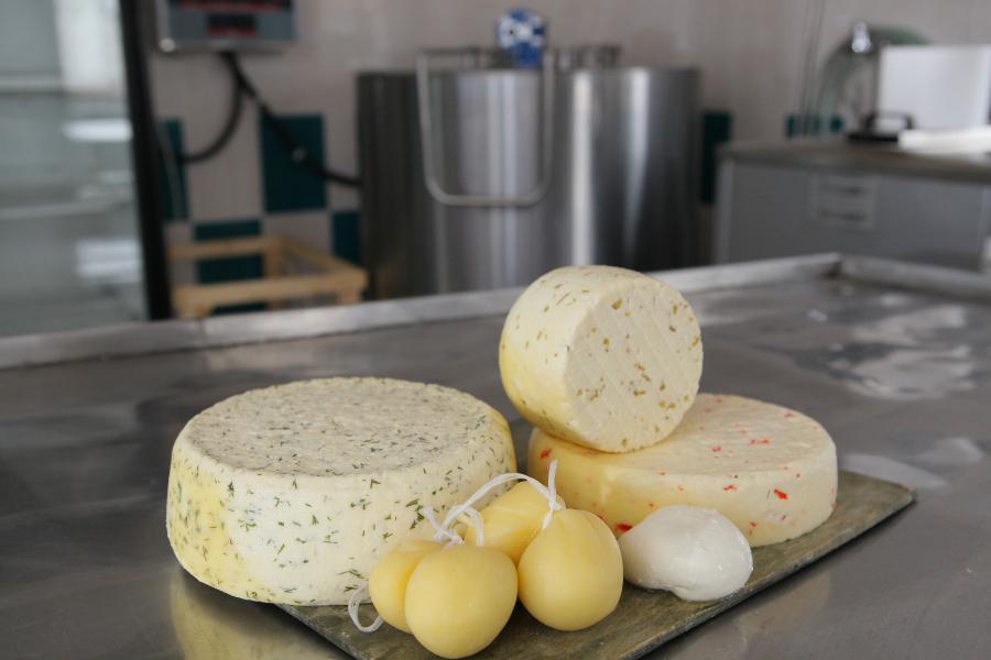 Производство сыра в 2021 году вырастет на 10%