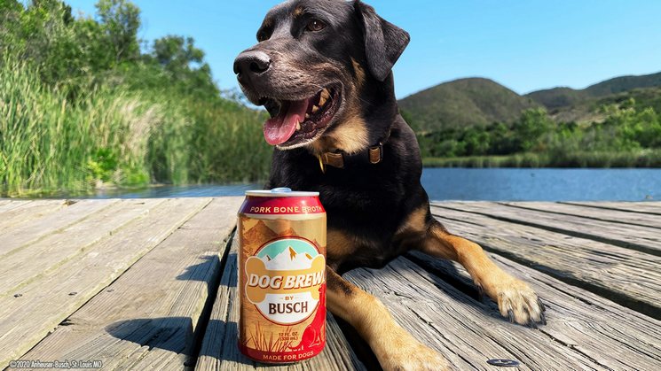 (RU) Anheuser-Busch выпустила “пиво” для собак