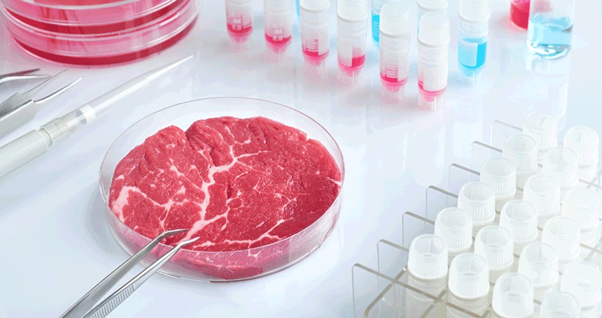 Культивированное мясо: запуски в США и запреты в Италии